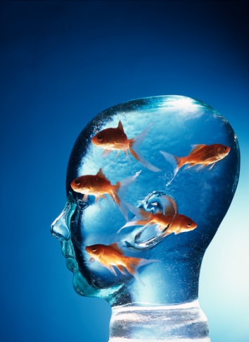 Aquarium tête Aquarium tête