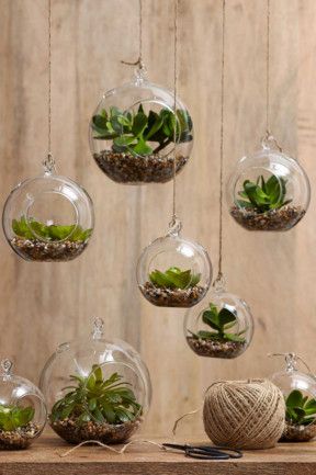 DIY : comment faire soi-même un terrarium ?