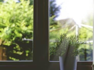 Plante posée devant une fenêtre pour la décoration