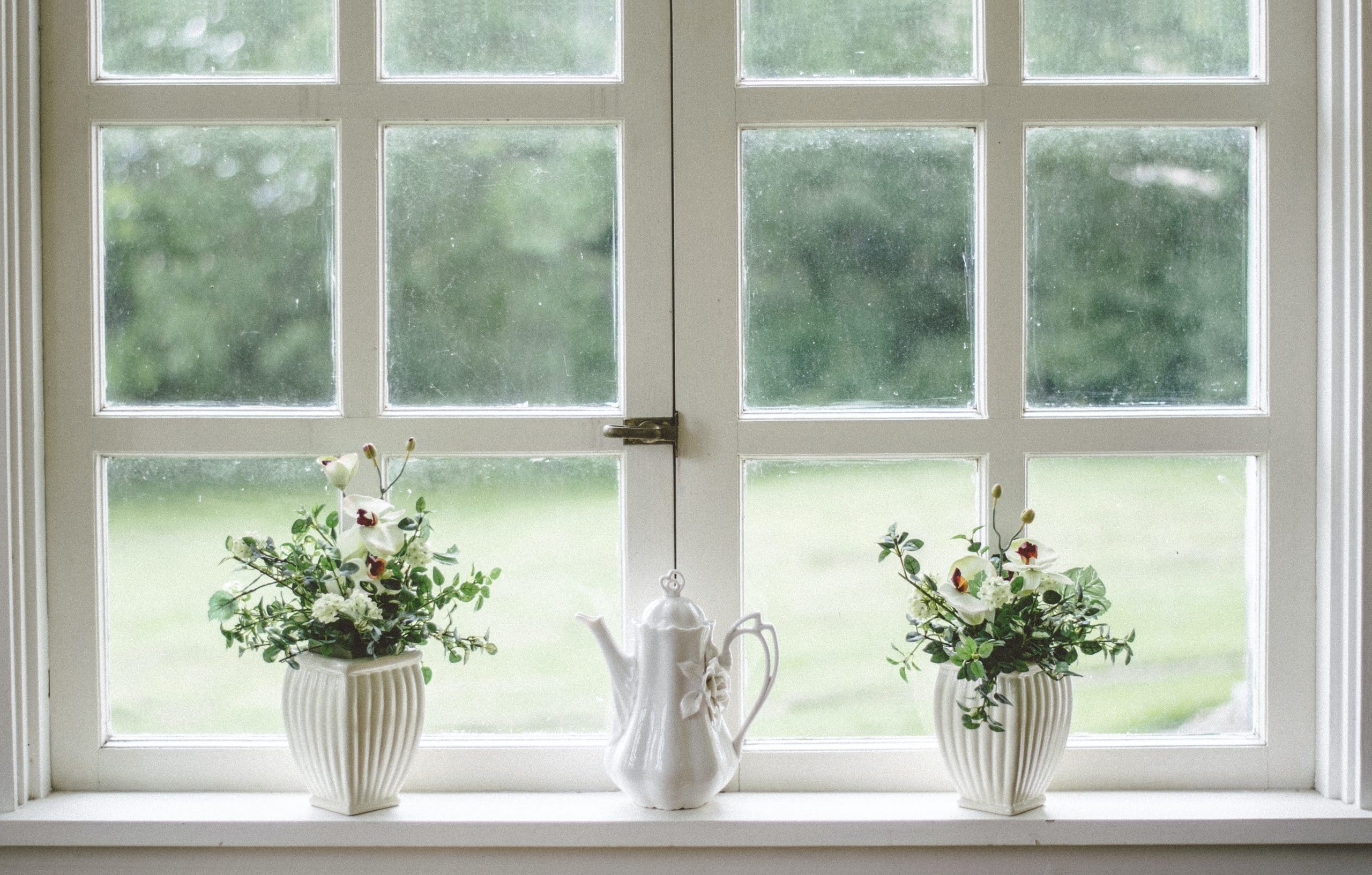 fenetre décorée avec des plantes