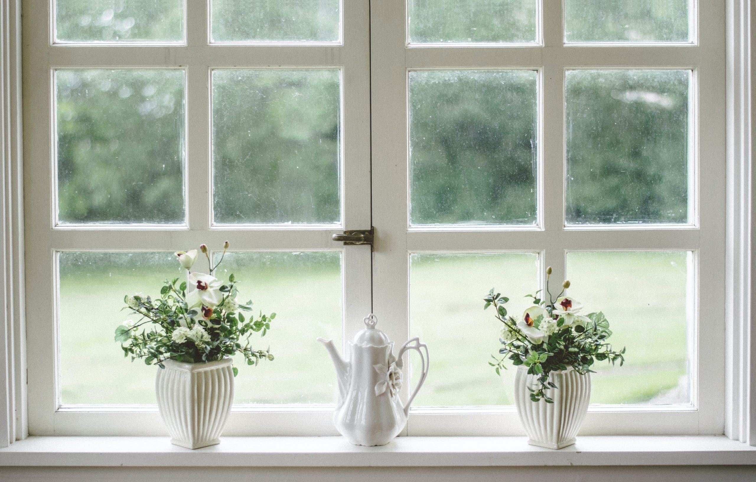 fenetre décorée avec des plantes