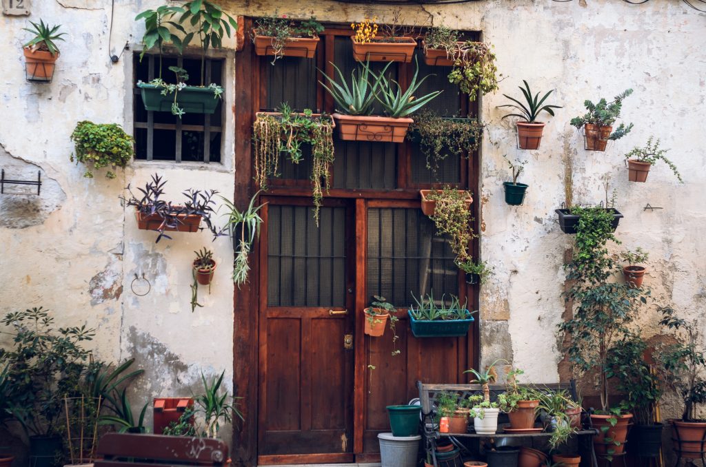 porte décorée avec des plantes